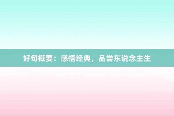 好句概要：感悟经典，品尝东说念主生