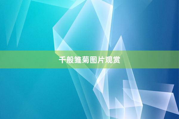 千般雏菊图片观赏
