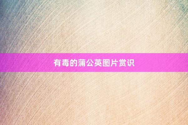 有毒的蒲公英图片赏识