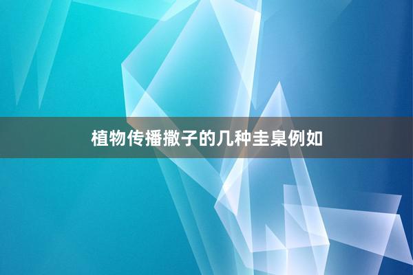 植物传播撒子的几种圭臬例如