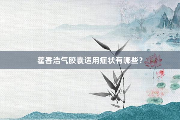 藿香浩气胶囊适用症状有哪些?