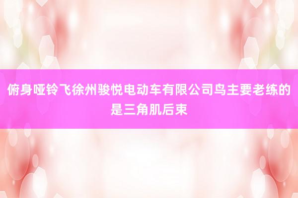 俯身哑铃飞徐州骏悦电动车有限公司鸟主要老练的是三角肌后束